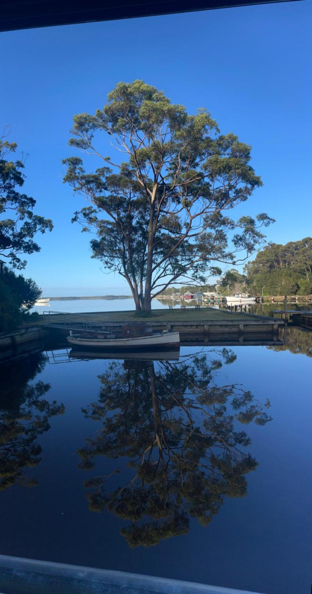 Castaway Holiday Apartments Strahan Extérieur photo